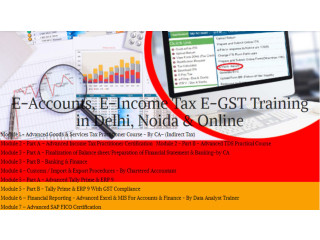 Best E-Accounting Course in Delhi, "Learn  Direct Tax Code 2025" 110025,  SAP FICO Course in Noida  BAT Course by SLA Accounting Institute