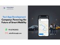 end-to-end-taxi-app-development-solution-for-businesses-small-0