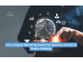 hire-digital-marketing-expert-for-business-growth-online-visibility-small-0