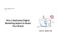 hire-a-dedicated-digital-marketing-expert-to-boost-your-brand-small-0