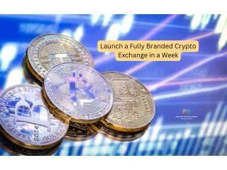 Launch a Fully Branded Crypto Exchange in a Week