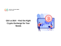 cex-vs-dex-find-the-right-crypto-exchange-for-your-needs-small-0