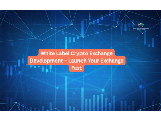White Label Crypto Exchange Development  Launch Your Exchange Fast