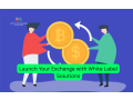launch-your-exchange-with-white-label-solutions-small-0