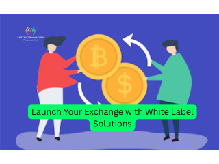 Launch Your Exchange with White Label Solutions