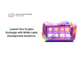 launch-your-crypto-exchange-with-white-label-development-solutions-small-0