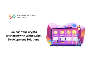Launch Your Crypto Exchange with White Label Development Solutions