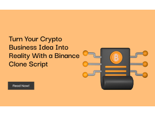 Turn Your Crypto Business Idea Into Reality With a Binance Clone Script