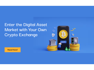 Enter the Digital Asset Market with Your Own Crypto Exchange