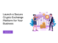 launch-a-secure-crypto-exchange-platform-for-your-business-small-0