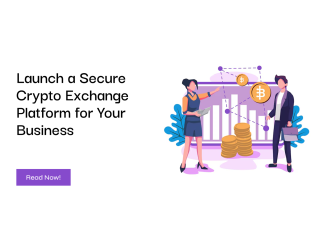 Launch a Secure Crypto Exchange Platform for Your Business